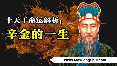 辛金命男|八字十天干詳解——辛金